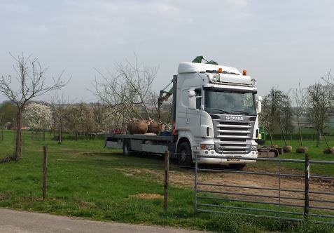 Diensten - Verkoop, planten en transport van karakteristieke (fruit)bomen