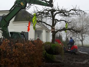 Diverse rooi- en plantwerkzaamheden in Midwoud