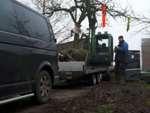 Diverse rooi- en plantwerkzaamheden in Midwoud