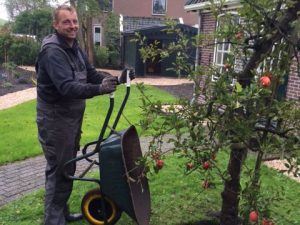 Oude appelboom (Elstar) planten in Andijk (oktober 2016)