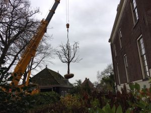 appelboom planten met telekraan