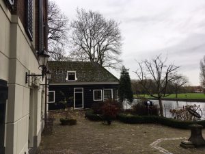 boom planten loenen aan de vecht