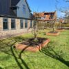 appelboom cortenstaal